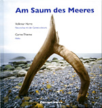 Am Saum des Meeres