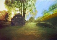 Wreechen Kulturgut - 318 Tage